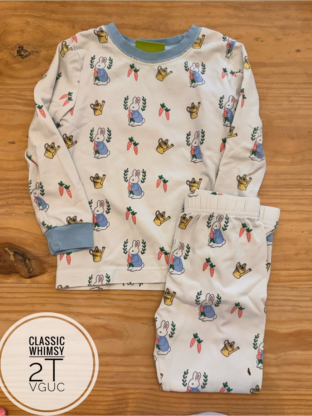 Classic Whimsy 2T Bunny & Carrot Easter Pajama Set